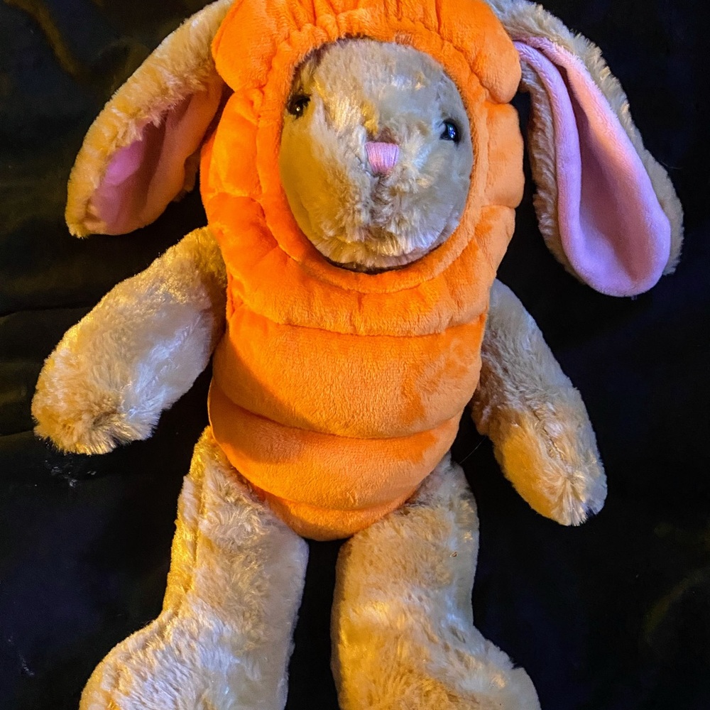 Build a Bear Bunny with carrot outfit in great condition.